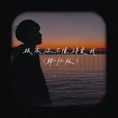 根本你不懂得爱我(释怀版)封面