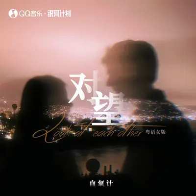 对望 (粤语女版)封面