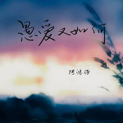 愚爱又如何封面
