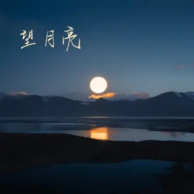望月亮封面