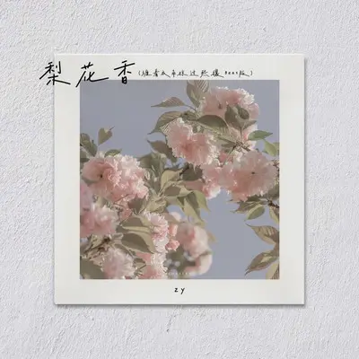 梨花香(缠着衣角掠过熙攘Beat版)封面