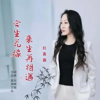 今生无缘来生再相遇(舞曲版) - 红蔷薇封面