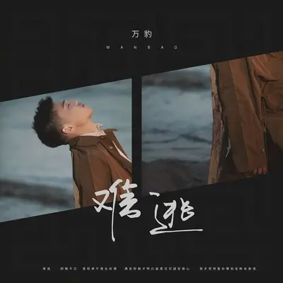 难逃(伴奏)封面