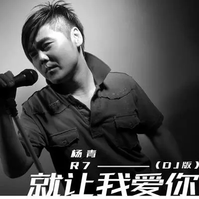 就让我爱你 (DJ版伴奏) - 杨青 / R7封面