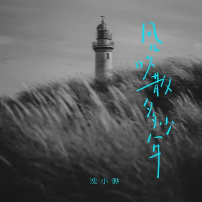 风儿吹散多少年封面