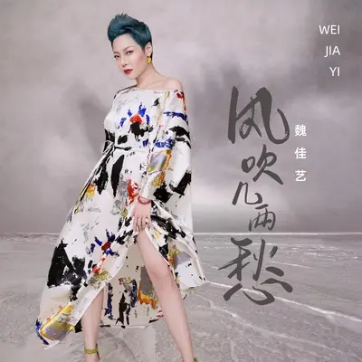 风吹几两愁(DJ陌梦版)封面