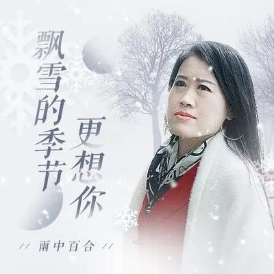 飘雪的季节更想你封面