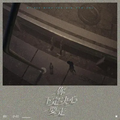你下定决心要走 - 杨小壮封面