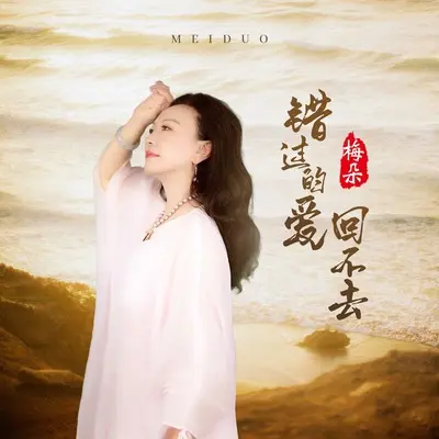错过的爱回不去(伴奏)封面