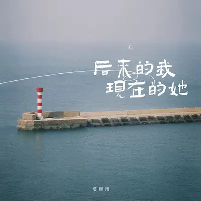后来的我现在的她封面