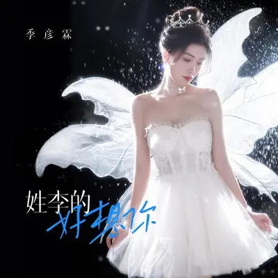 姓李的好想你 (DJ九零版)封面