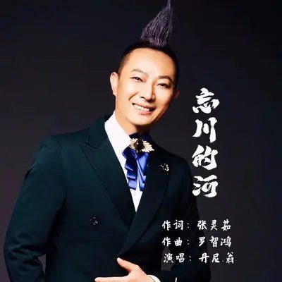 忘川的河 (DJ版)封面