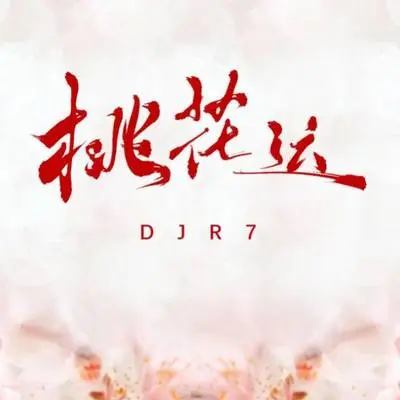 桃花运DJR7版封面