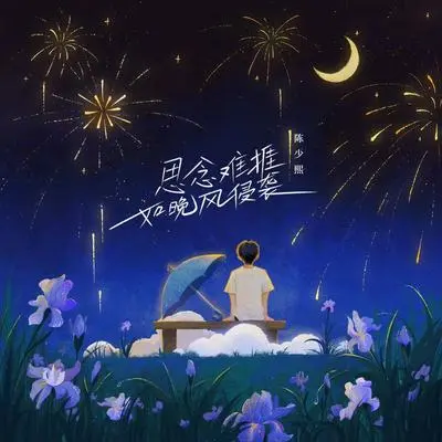 思念难捱如晚风侵袭封面