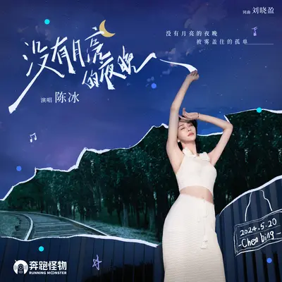 没有月亮的夜晚封面