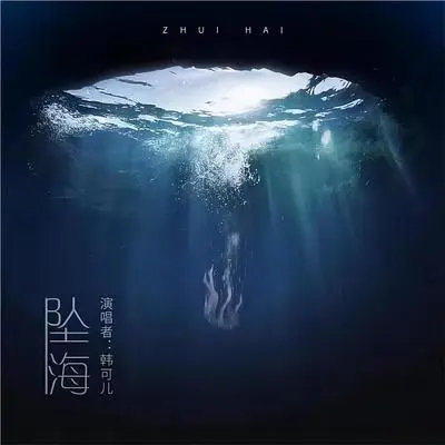 坠海 (伴奏)封面