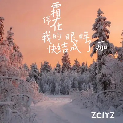 霜停在我的眼眸快结成了痂封面