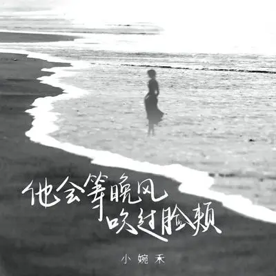 他会等晚风吹过脸颊封面