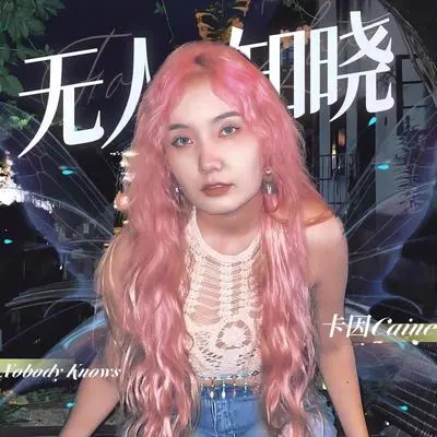 无人知晓 (Nobody knows)封面