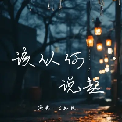 该从何说起 - C加贝封面