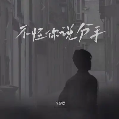 不怪你说分手 (DJ小建版)封面