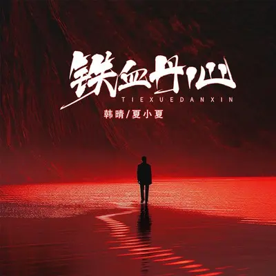 铁血丹心（对唱版）封面