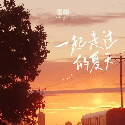 一起走过的夏天封面
