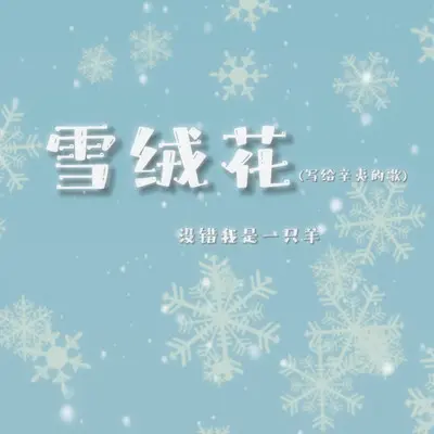 雪绒花(写给辛夷的歌)封面