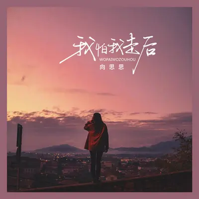 我怕我走后封面