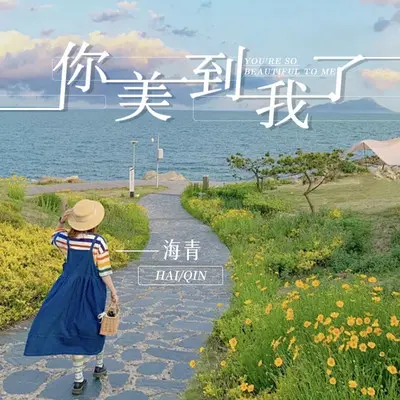 你美到我了封面