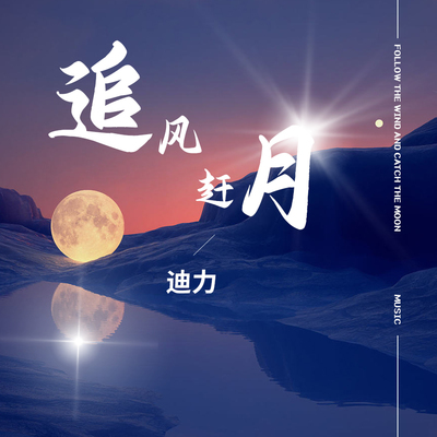 追风赶月封面