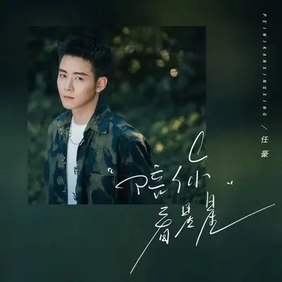 陪你看星星封面