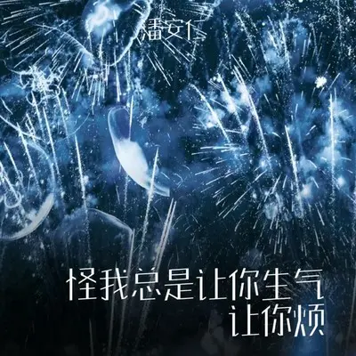怪我总是让你生气让你烦封面