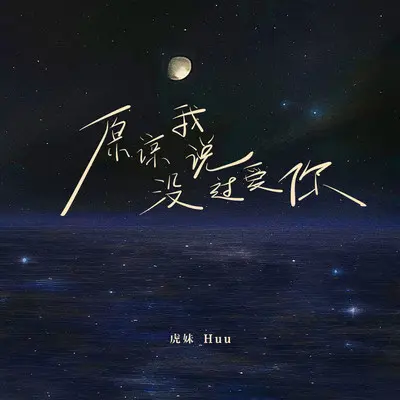 原谅我没说过爱你封面