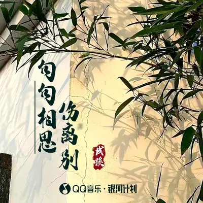 句句相思伤离别封面