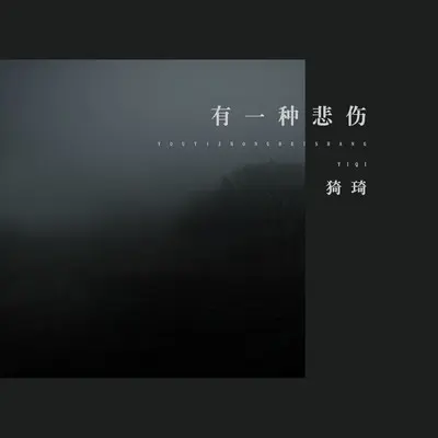 有一种悲伤封面