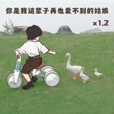你是我这辈子再也爱不到的姑娘(1.2加速版)封面