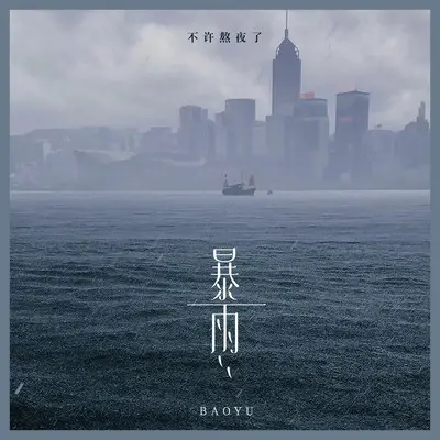 暴雨封面