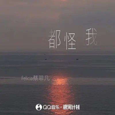 都怪我封面