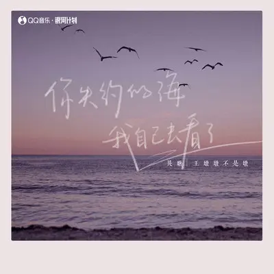 你失约的海 我自己去看了封面