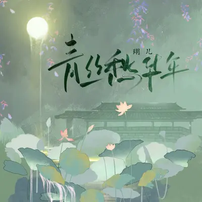青丝愁华年封面
