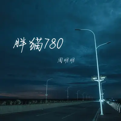 胖猫780封面