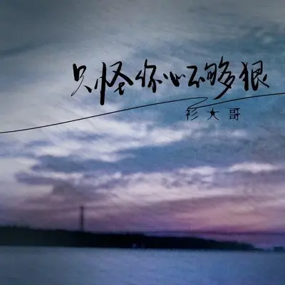 只怪你心不够狠 (伴奏) - 衫大哥封面