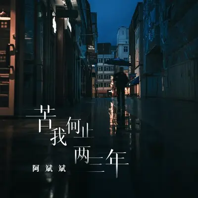 苦我何止两三年(Live版) - 阿斌斌封面