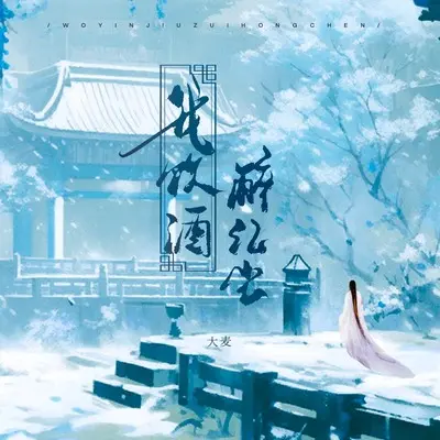 我饮酒醉红尘封面