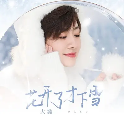 花开了才下雪(DJ九零版) - 大潞封面