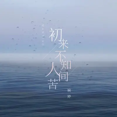 初来不知人间苦 (Live版) - 婉婷封面