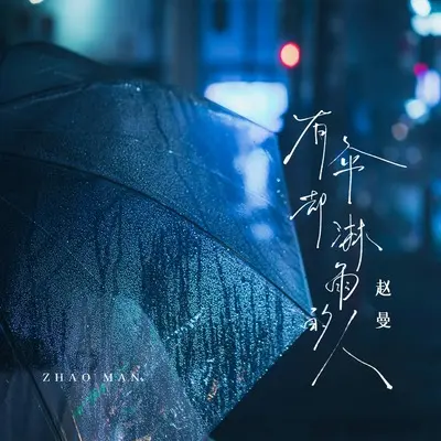 有伞却淋雨的人 - 赵曼封面