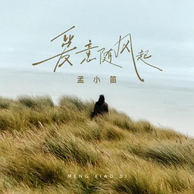 爱意随风起封面