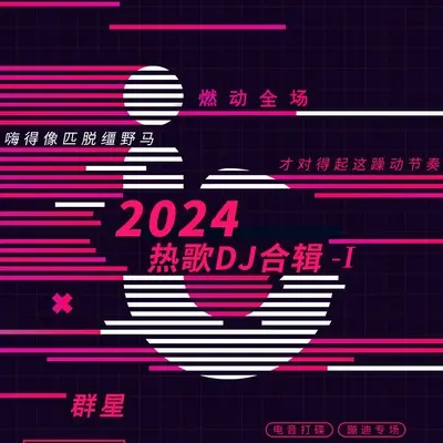 我爱你入了心你伤我成了瘾(DJ版)封面